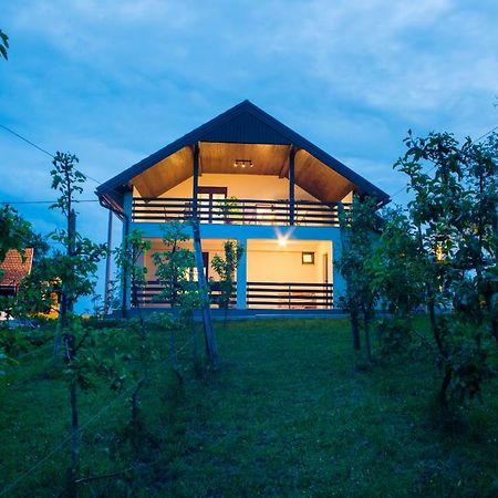 Holiday Home Dandelion With Hot Tub & Sauna Cetingrad Exterior foto