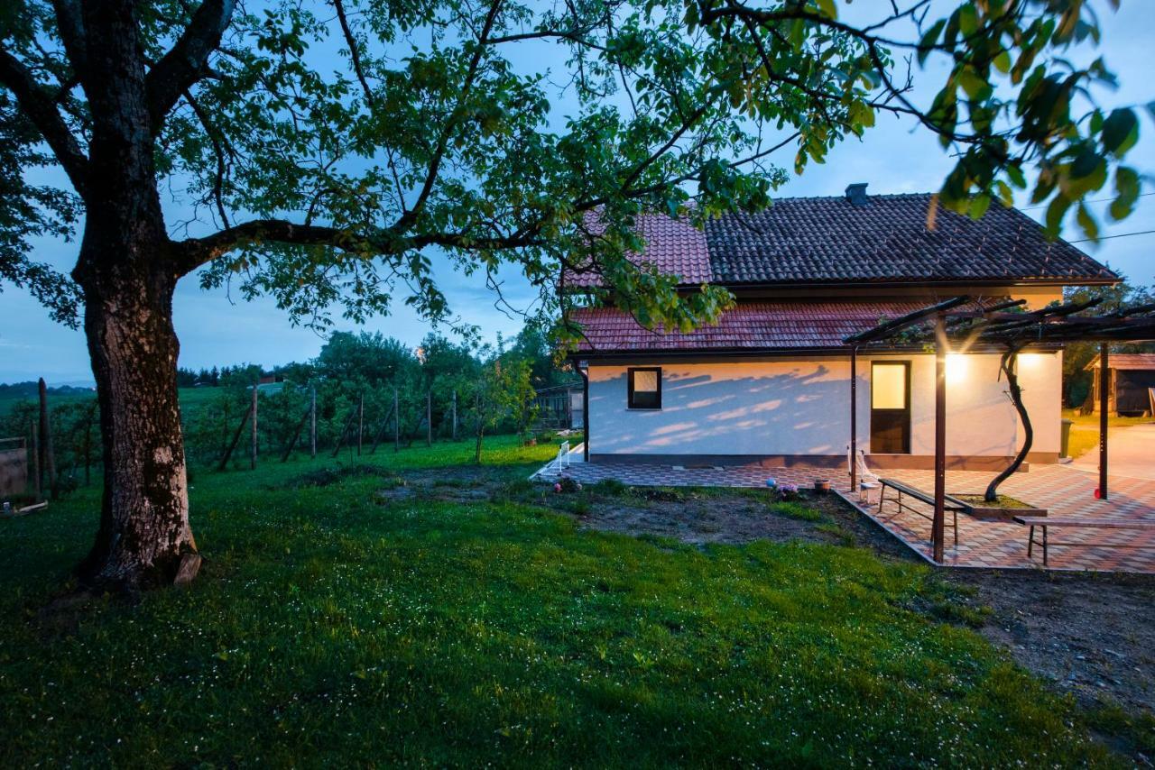 Holiday Home Dandelion With Hot Tub & Sauna Cetingrad Exterior foto